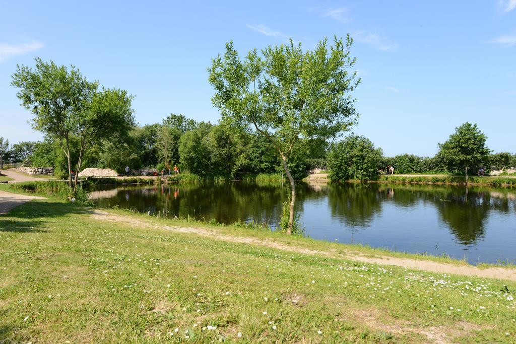Storkesoen And * Ribe