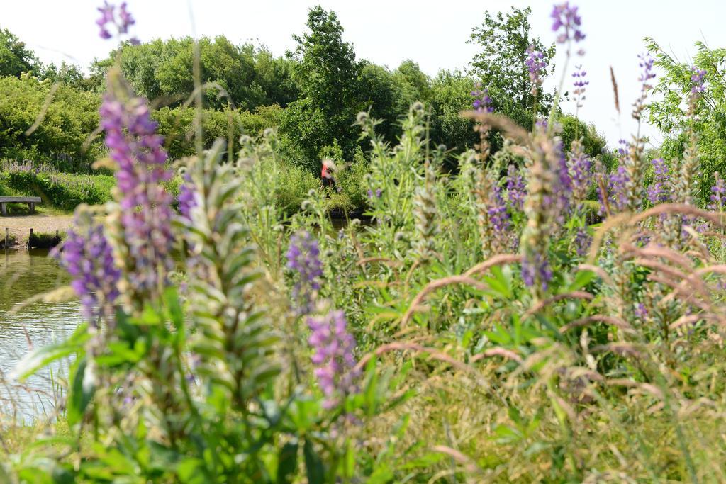 Leilighet Storkesøen Holiday Cottages&apartments